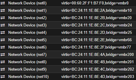 Lista de los bridges pasados a la VM