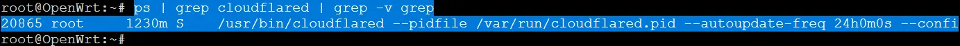 Cloudflared ya está ejecutándose, según el comando "ps"